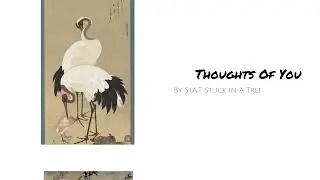 S.I.A.T Stuck In A Tree - Thoughts Of You (Official Lyric Video)