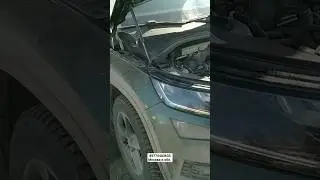 Эндоскопия Skoda Kodiak 2020г. 1.4tfsi