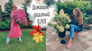 Домашне-садовый ВЛОГ | осень в саду, новые ткани, декор