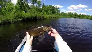Early Season Smallmouth on the Fly