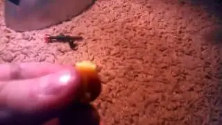 Как сделать копё lego