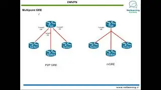 61. DMVPN
