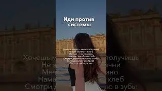 11 июня 2024 г.