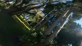 Smooth and Snappy - FPV