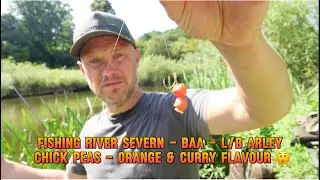 Fishing River Severn - BAA Arley L/B (Air Fried Chick Peas - Orange & Curry Flavour)