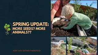 🌱 Spring UPDATE | Rotate Chicken Flocks 🐔| Home BioGas | Seed Planting | Homestead VLOG