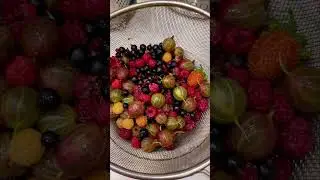 Молочный ягодный коктейль 🥰 Ах…лето! 😍🍓🫐 #дача #огород #природа #ягоды