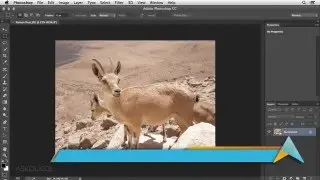 קורס פוטושופ Photoshop CC - חידושי הענן היצירתי - אפקט החידוד החכם