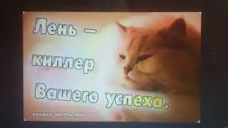 МНЕ ЛЕНЬ ! КАК ВЫЙТИ ИЗ СОСТОЯНИЯ ЛЕНЬ ? БОРЬБА С ЛЕНЬЮ !!! ЛЕНЬ ОТВАЛИ !!!