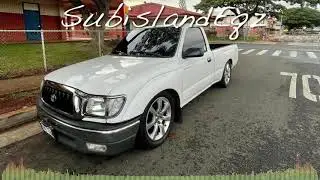 Ghetto love birds (Eq) #dsp