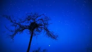 Остров Тюлений, Дагестан