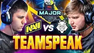 тимспик Navi vs. G2 Stockholm гранд финал