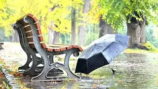☔ УСПОКАИВАЮЩИЕ ЗВУКИ ДОЖДЯ 🌧 Звуки природы - дождь для сна Sleep relaxing #1