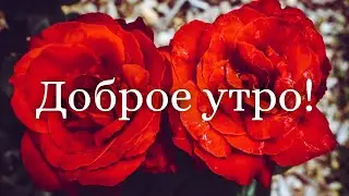 Желаю Самого Доброго Солнечного Утра! Шикарная Музыкальная открытка С ДОБРЫМ УТРОМ 1 Мая!