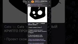 Cats Bot, Cats Bot | НОВЫЙ КРИПТО ПРОЕКТ | ПОСЛЕДНИЕ ОБНОВЛЕНИЕ Cats 🐈‍⬛ ...