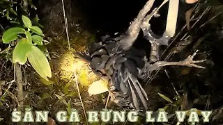 Night Hunting with a Slingshot Headshot on Wild Chicken