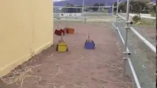 DEJA VU