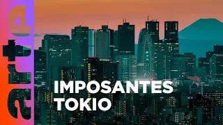 On the rooftops of the city: Tokyo | Documentary | ARTE