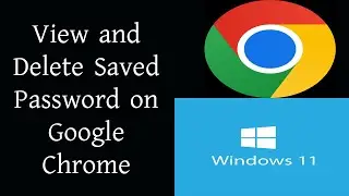 How to view and Delete Saved Password on google Chrome