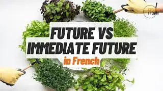 Future vs Immediate Future in French