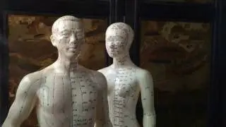 Цзю Хо - Методики лечения Традиционной Китайской Медицины . Загальский Павел - Китай Гуанчжоу