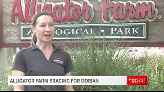 Alligator Farm Dorian Preps