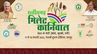 Nutrihub TBI Live Stream