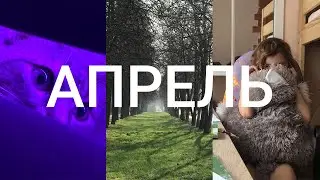 1 секунда каждый день 2020 | Апрель