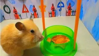 🐹 Hamster Maze  Squid Game  Full Movie OBSTACLE COURSE With Traps