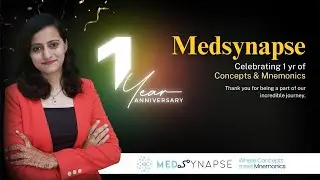 Marking one year of Medsynapse and many more!