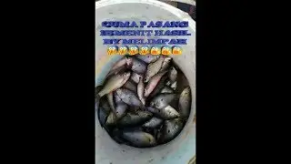 Jaring ikan hasil ny melimpah!!!