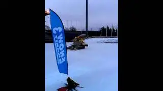 Snow Rabbit in Lahti, Finland