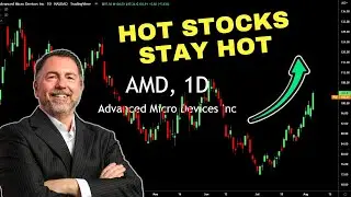 TECH STOCKS DOMINATE: SECTOR ROTATION UPDATE