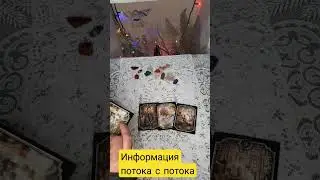 информация с потока 