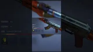 THE RAREST ITEM IN CS2