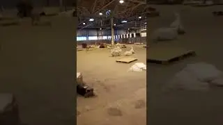Одинь из день в Москве))