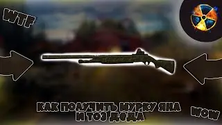 Мурка Яна STALCRAFT - квест на MP-153 и ТОЗ ДЕДА
