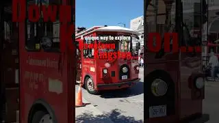 A unique way to explore downtown Kingston… take a trolley tour!
