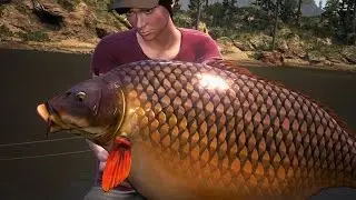 Dovetail Games Euro Fishing Gameplay #2 MULTI BIG CARP AND CATFISH Silure Boss HD PC