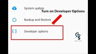 How to enable developer options on your android phone.