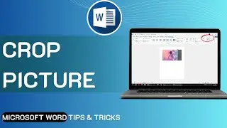 How To Crop Picture In Microsoft Word | Microsoft Word ⏩