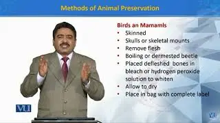 ZOO103-Principles of systematics topics 81 to 85