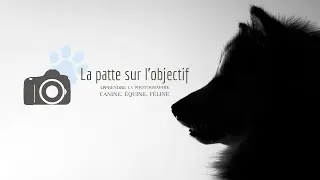 La critique de TES Photos en live !