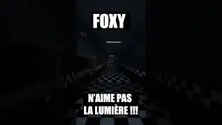 FOXY N'AIME PAS LA LUMIÈRE !!! 