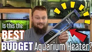 The Best Budget Aquarium Heater - CNZ Aquarium Heater