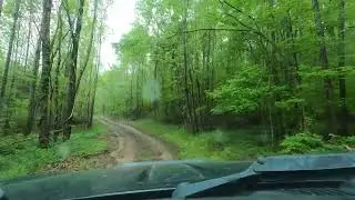 Heading home after chasing pigs