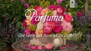 Parfuma® Duftrosen-Kollektion