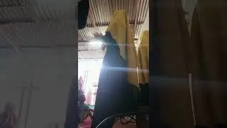 pembacaan mahlul qiyam sholawat aqiqah