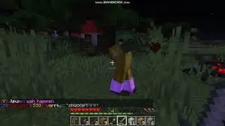 Found rare zombies including a baby zombie in full leather armor and enchanted hat