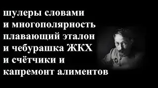 Шулеры словами и многополярность и плавающий эталон и чебурашка ЖКХ и счётчики и капремонт алиментов